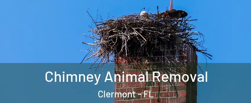 Chimney Animal Removal Clermont - FL
