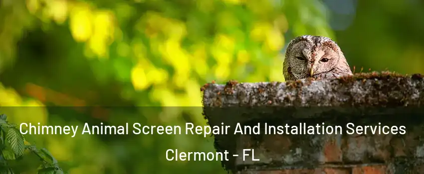  Chimney Animal Screen Repair And Installation Services Clermont - FL