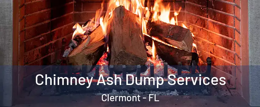  Chimney Ash Dump Services Clermont - FL