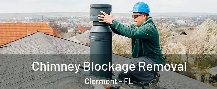  Chimney Blockage Removal Clermont - FL