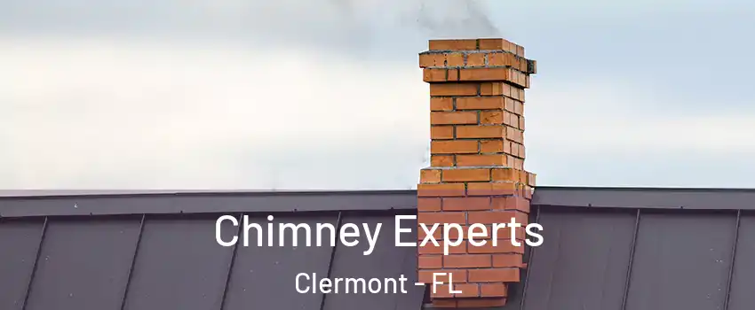 Chimney Experts Clermont - FL
