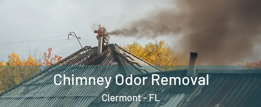  Chimney Odor Removal Clermont - FL