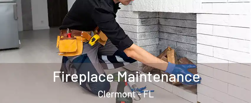  Fireplace Maintenance Clermont - FL