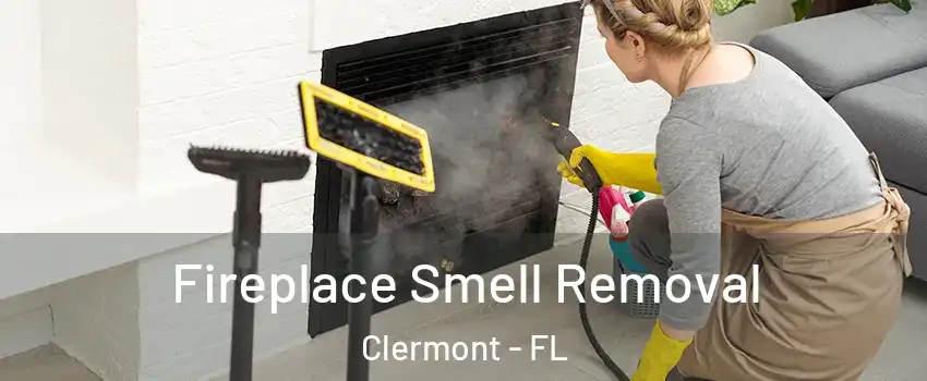  Fireplace Smell Removal Clermont - FL