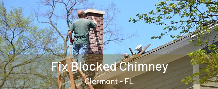  Fix Blocked Chimney Clermont - FL