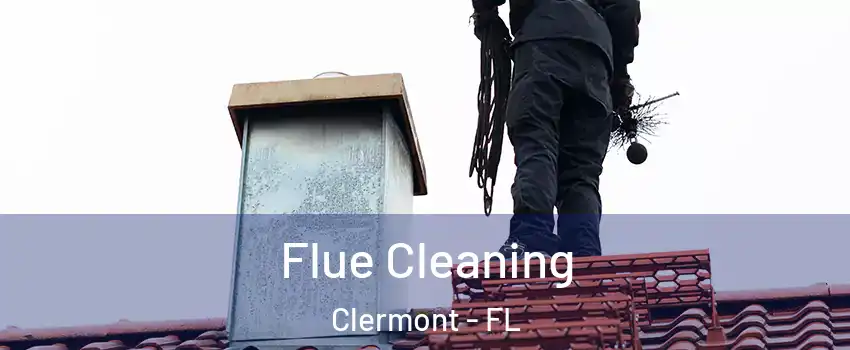  Flue Cleaning Clermont - FL