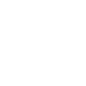 Professional Chimney Flue Installation in Clermont, Florida