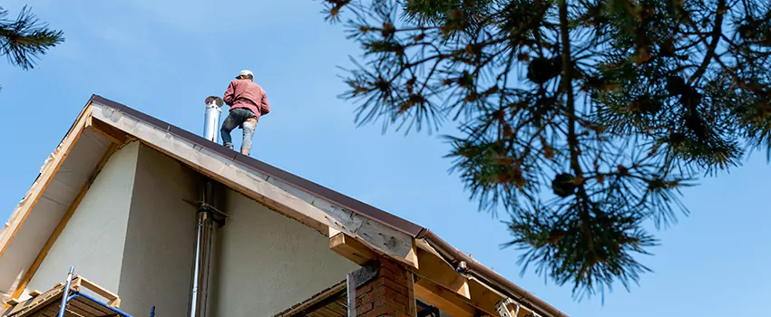 Birds Removal Contractors from Chimney in Clermont, FL