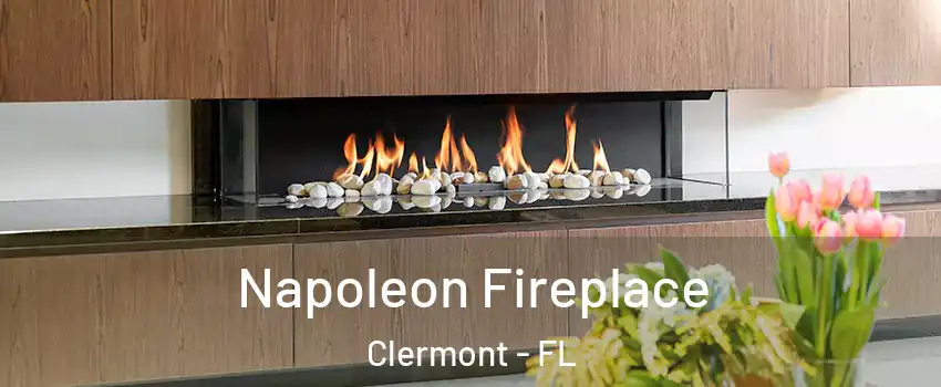  Napoleon Fireplace Clermont - FL
